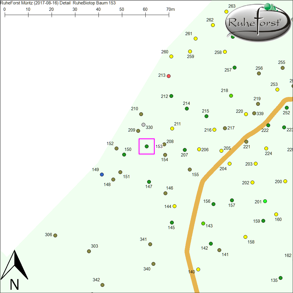 Detailkarte zu Baum 153