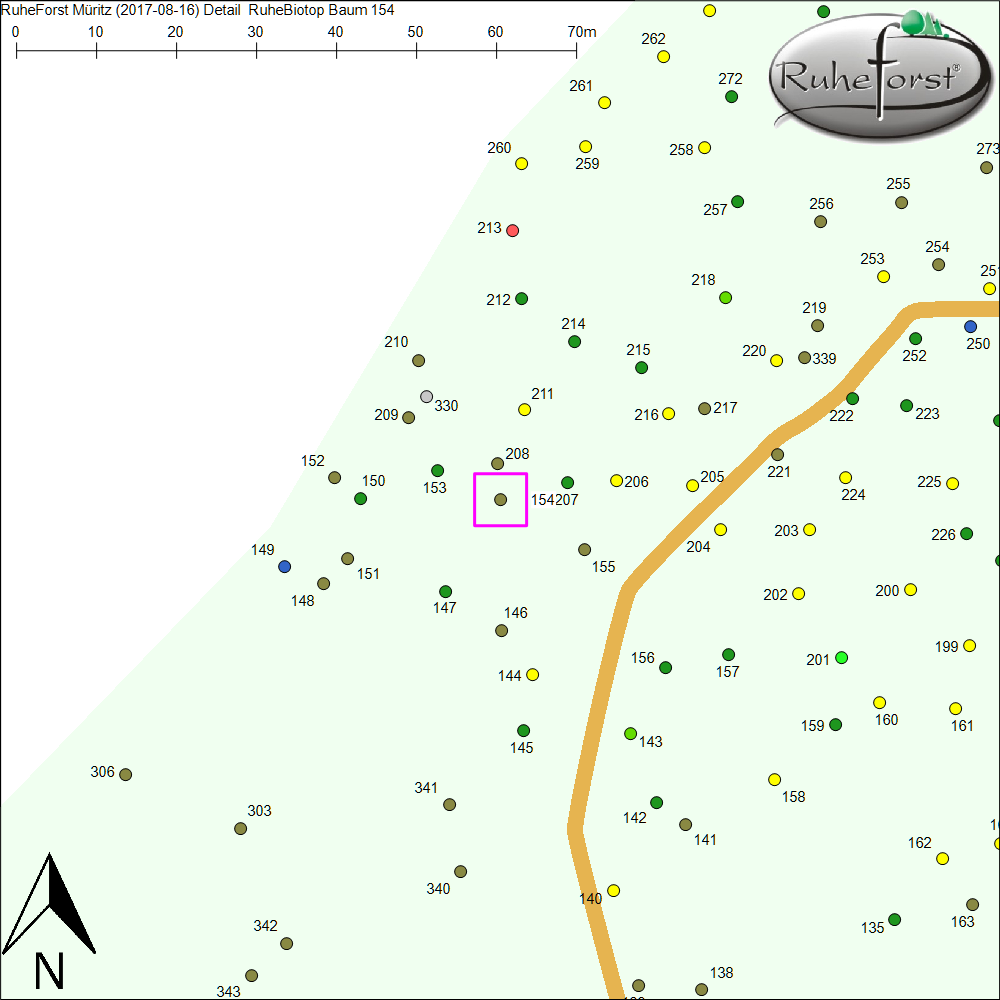 Detailkarte zu Baum 154