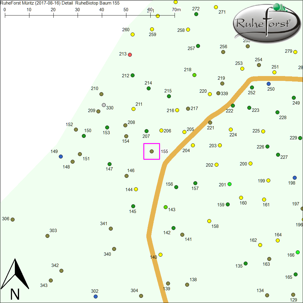 Detailkarte zu Baum 155