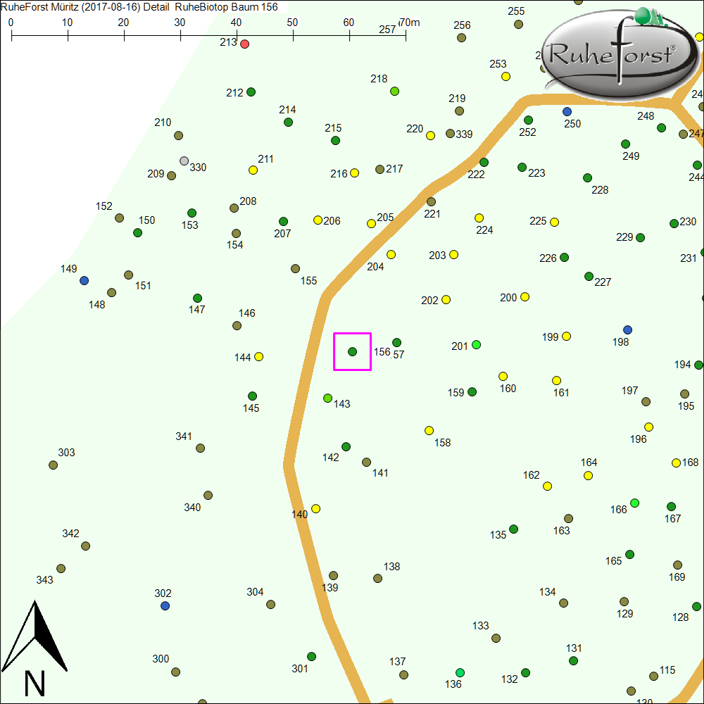 Detailkarte zu Baum 156