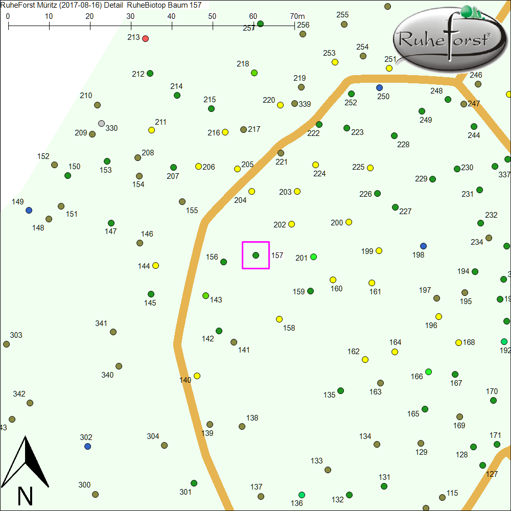 Detailkarte zu Baum 157