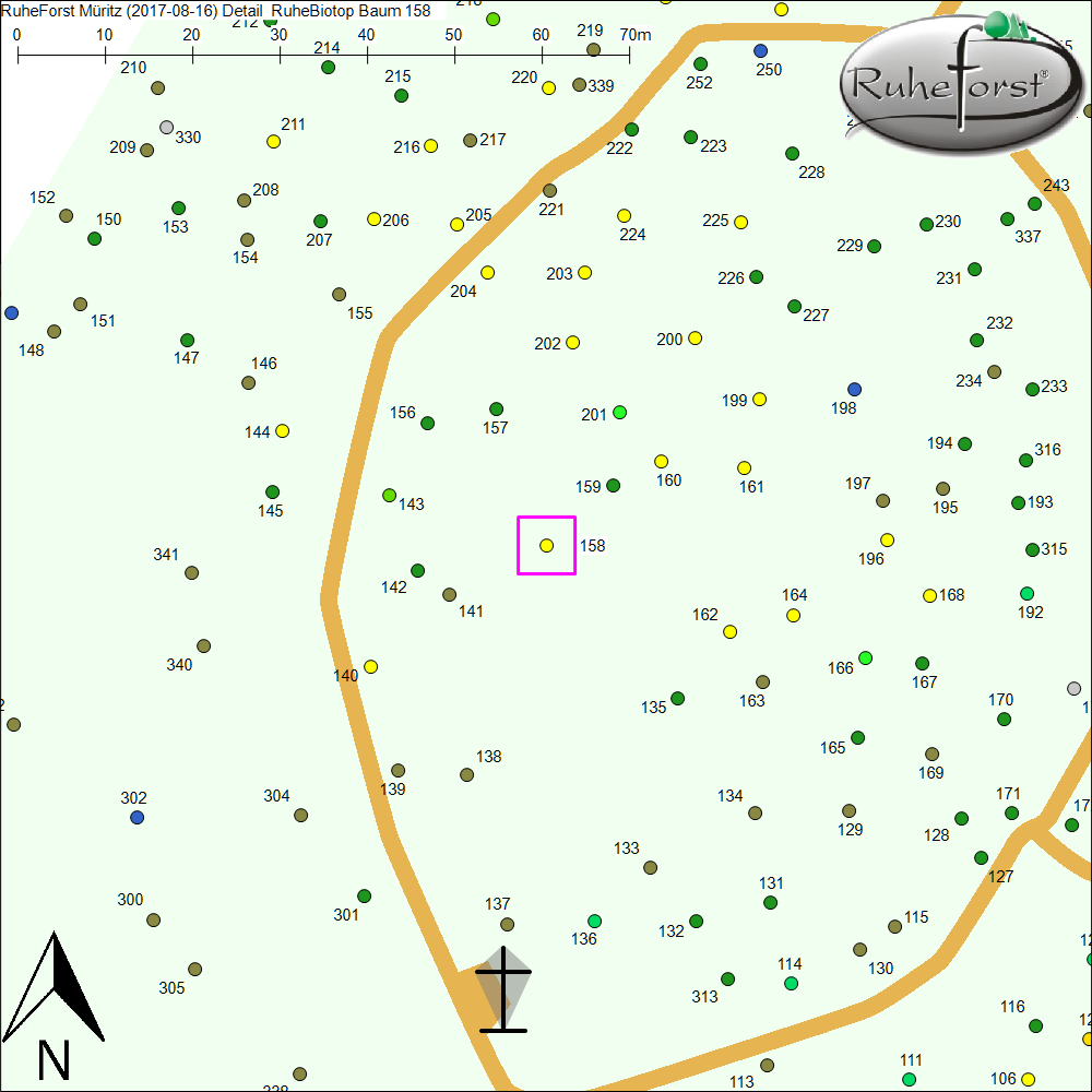 Detailkarte zu Baum 158