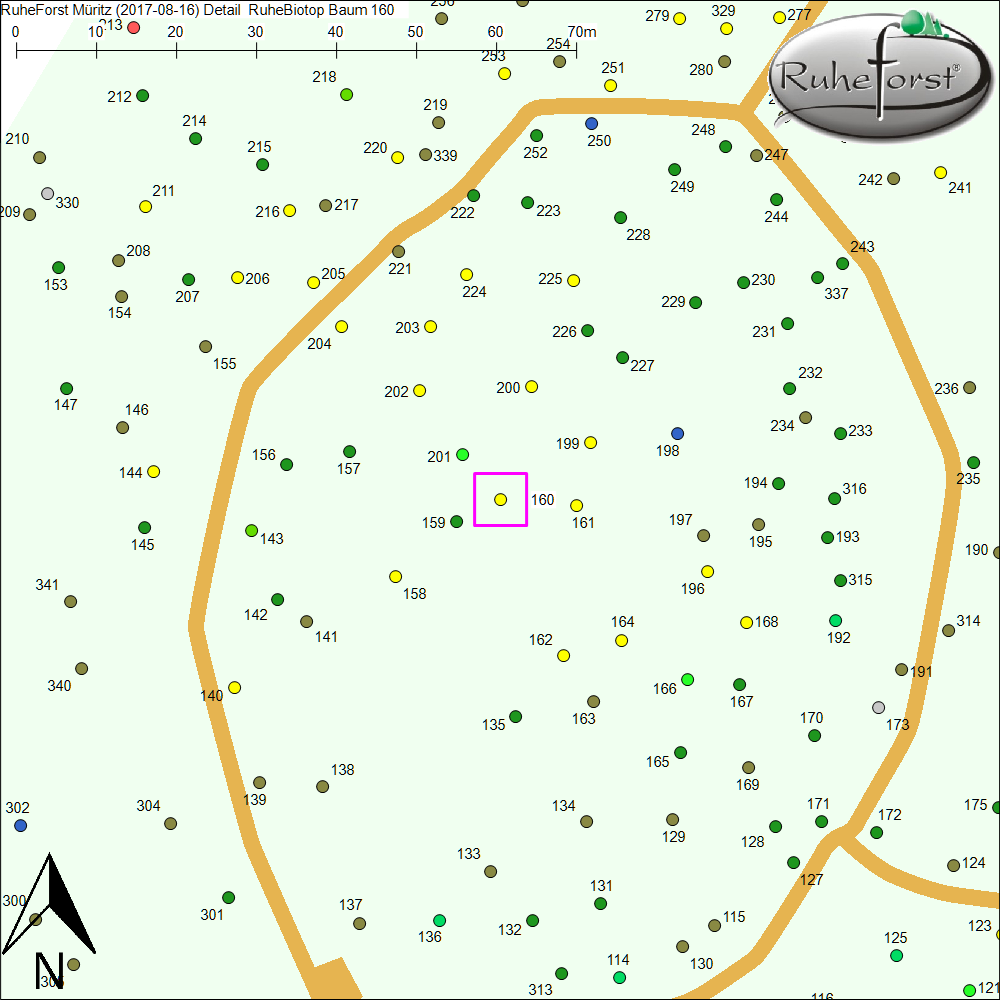 Detailkarte zu Baum 160
