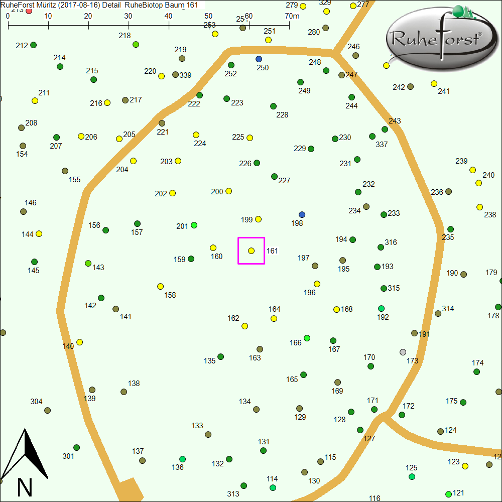 Detailkarte zu Baum 161