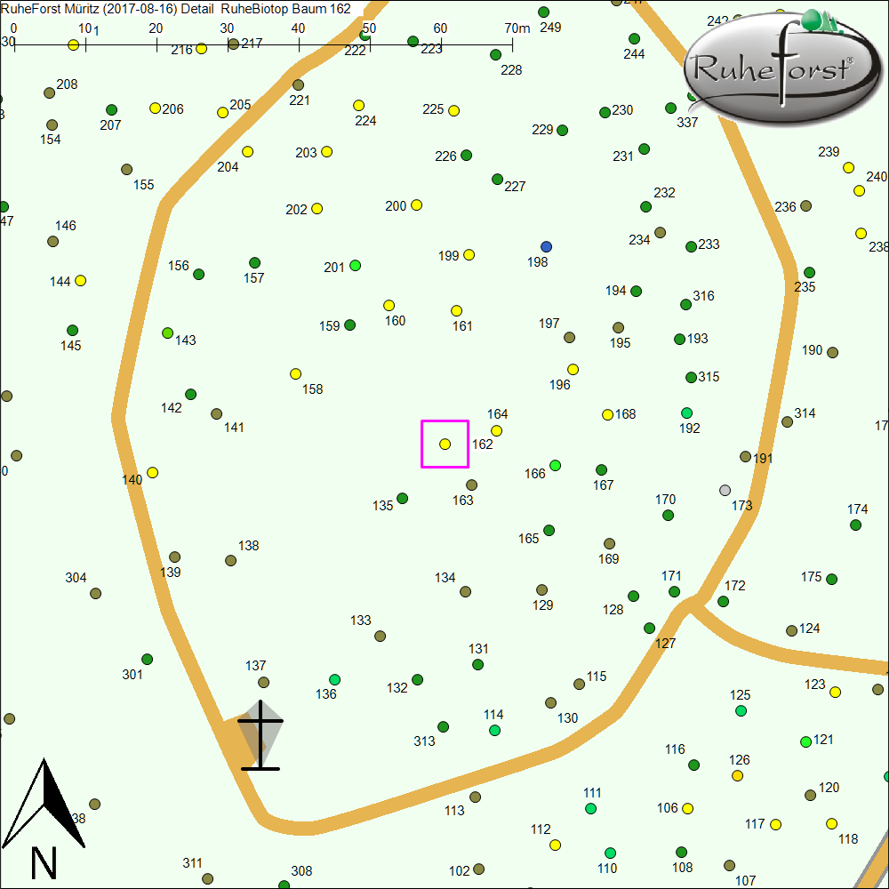 Detailkarte zu Baum 162