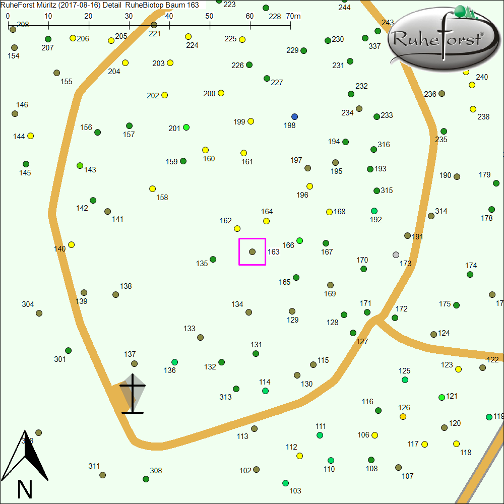 Detailkarte zu Baum 163