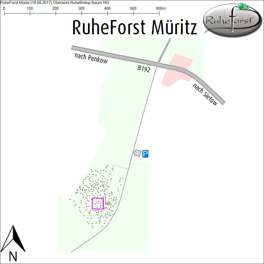 Übersichtskarte zu Baum 163