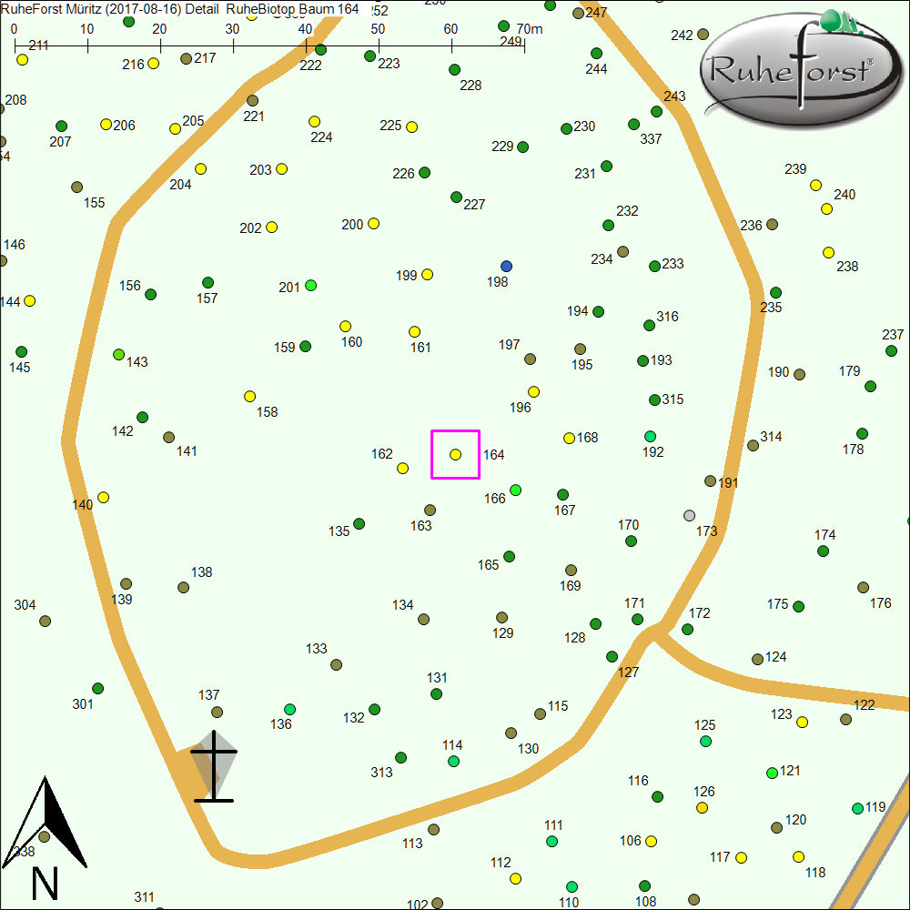 Detailkarte zu Baum 164