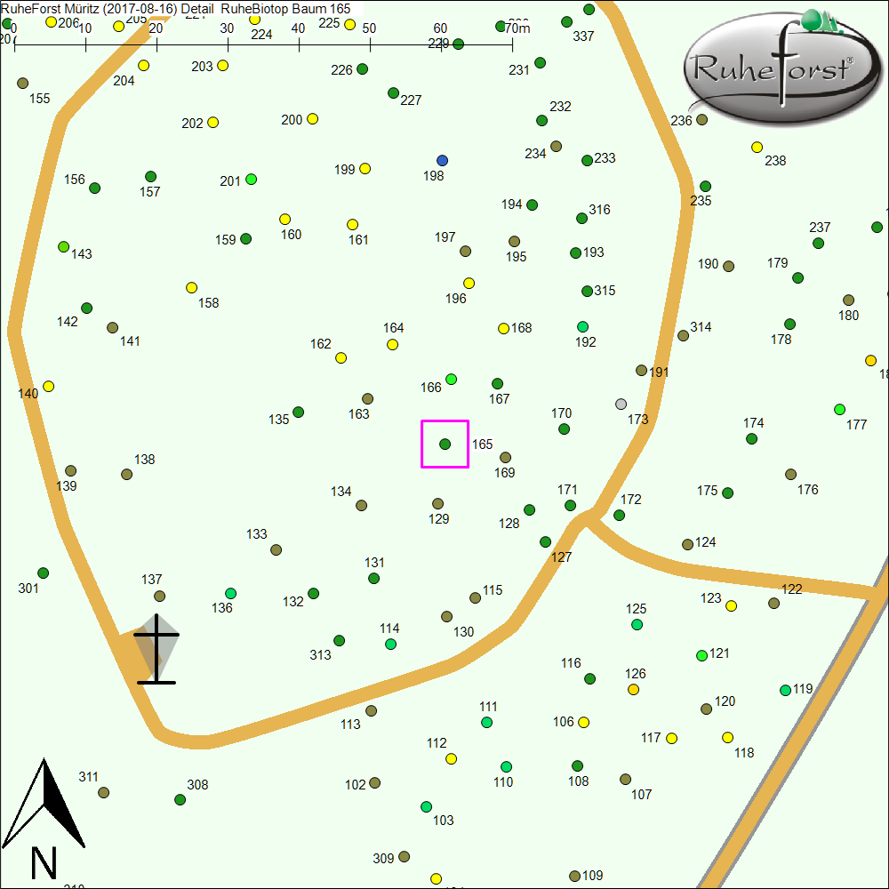 Detailkarte zu Baum 165