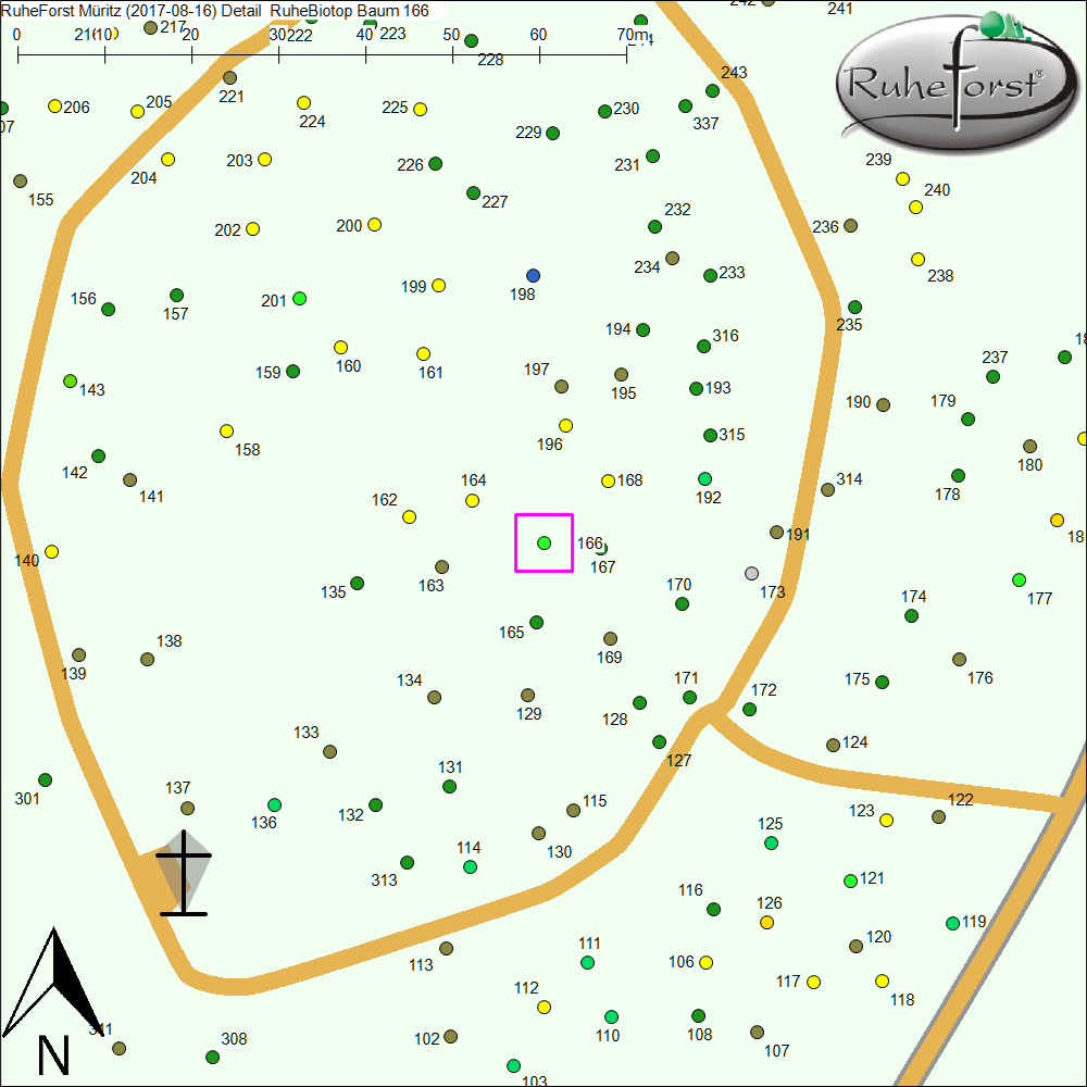 Detailkarte zu Baum 166