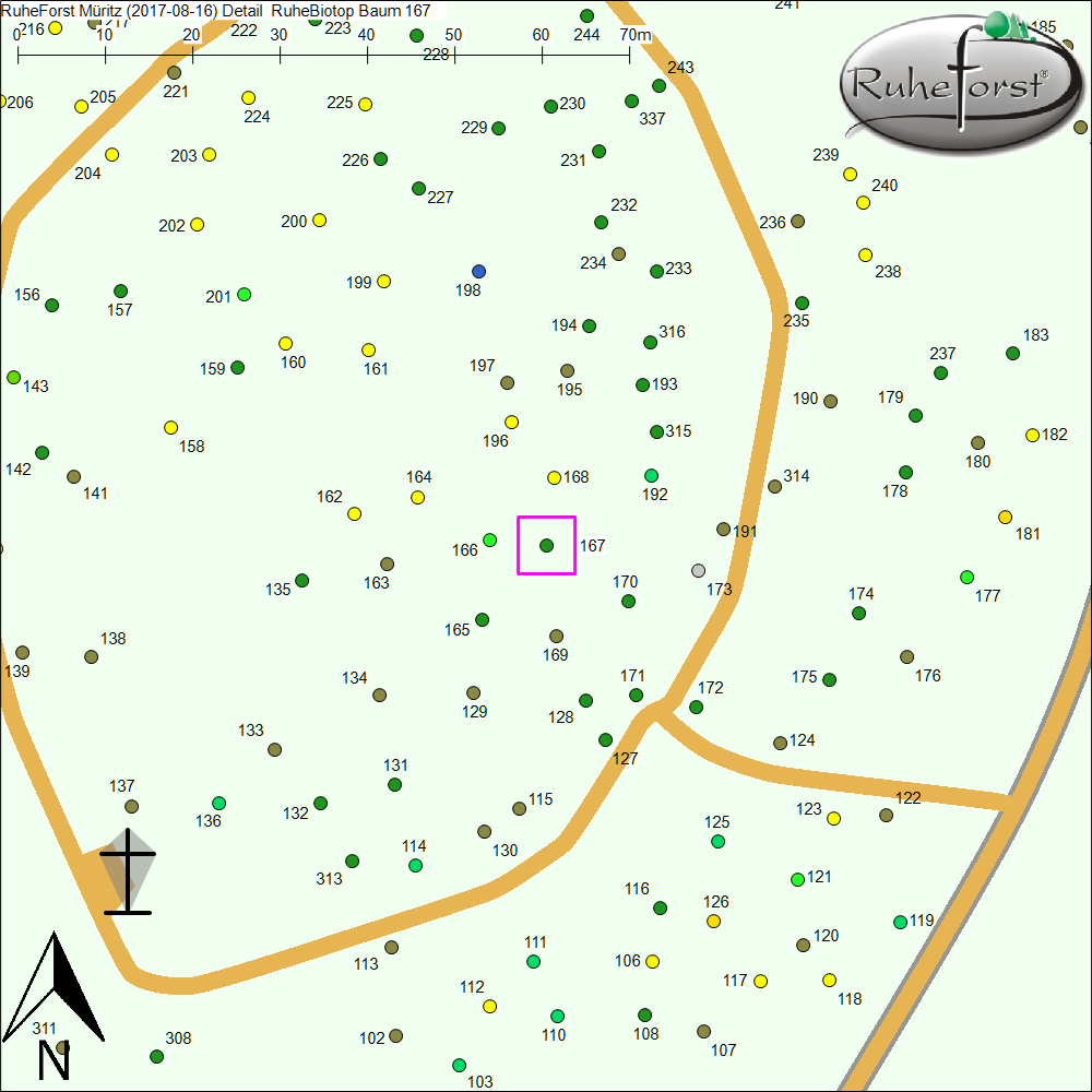 Detailkarte zu Baum 167