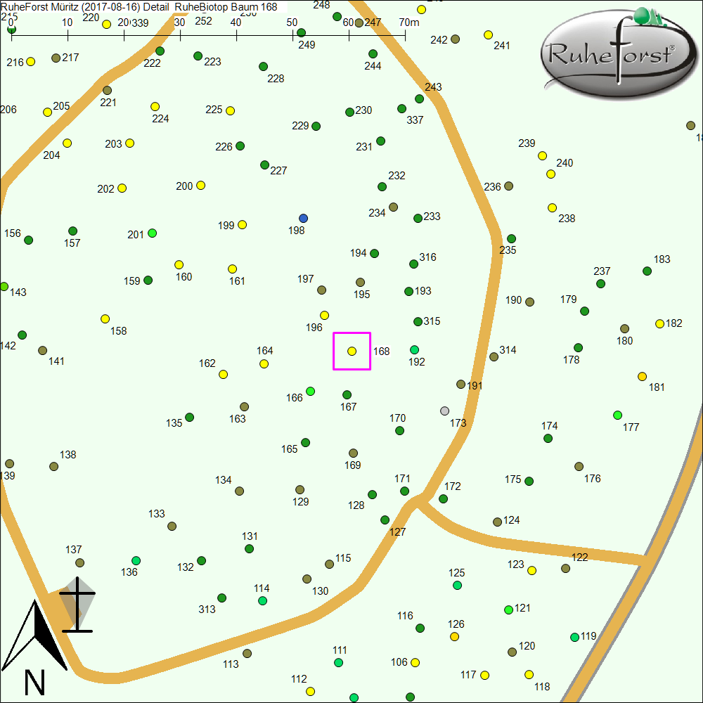 Detailkarte zu Baum 168