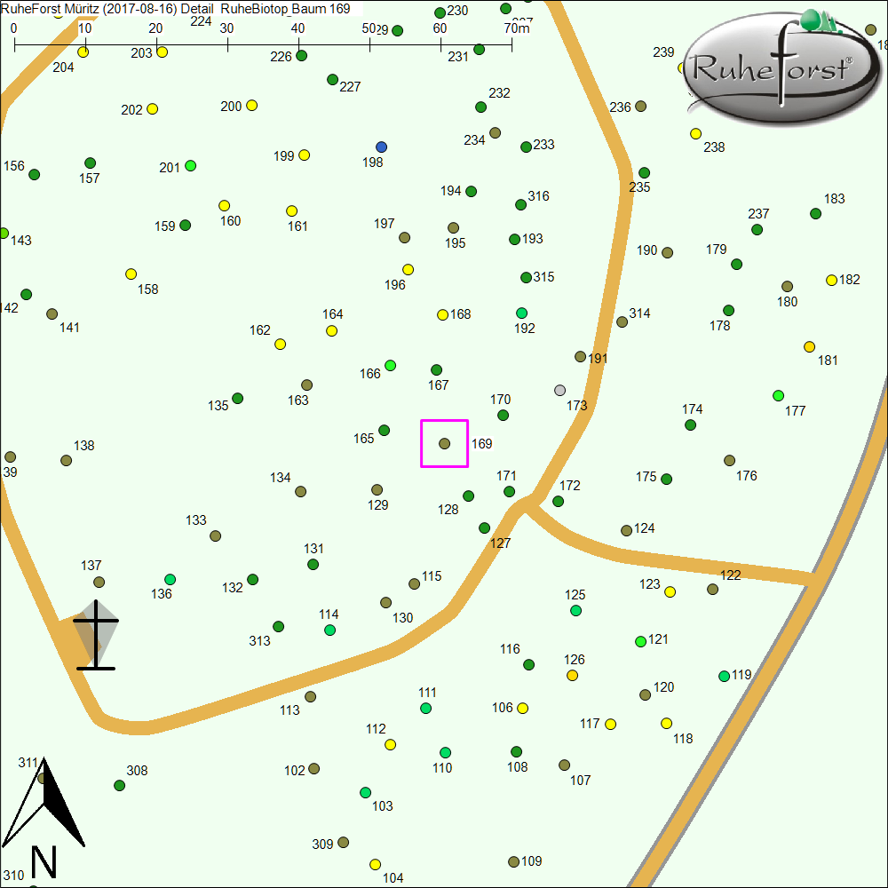 Detailkarte zu Baum 169