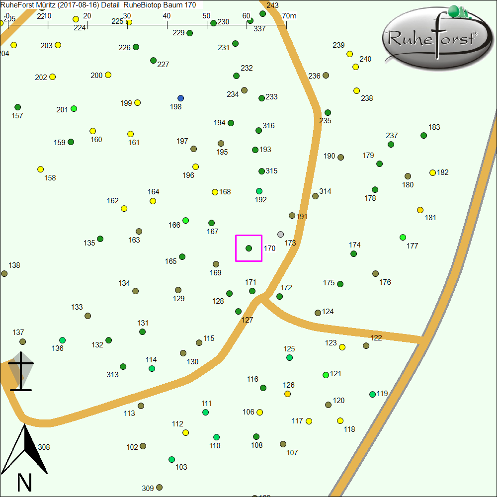Detailkarte zu Baum 170