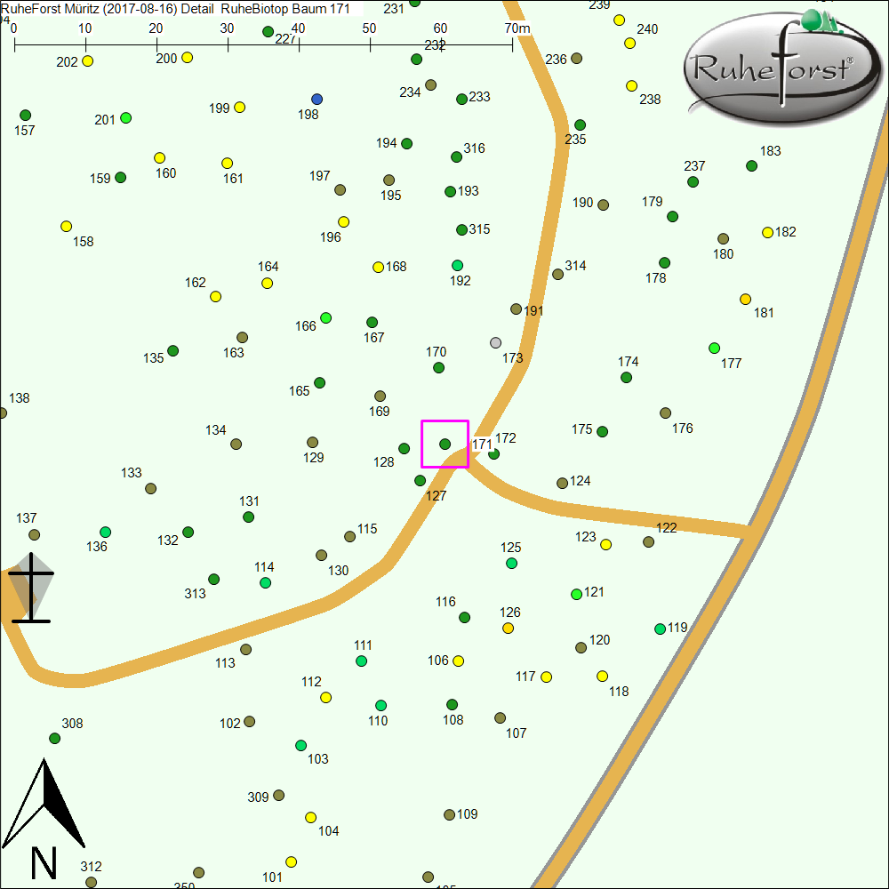 Detailkarte zu Baum 171