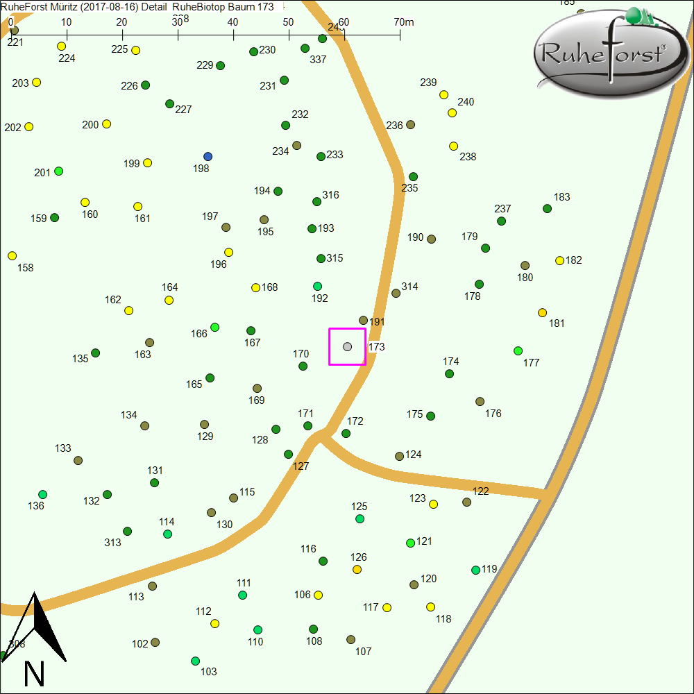 Detailkarte zu Baum 173