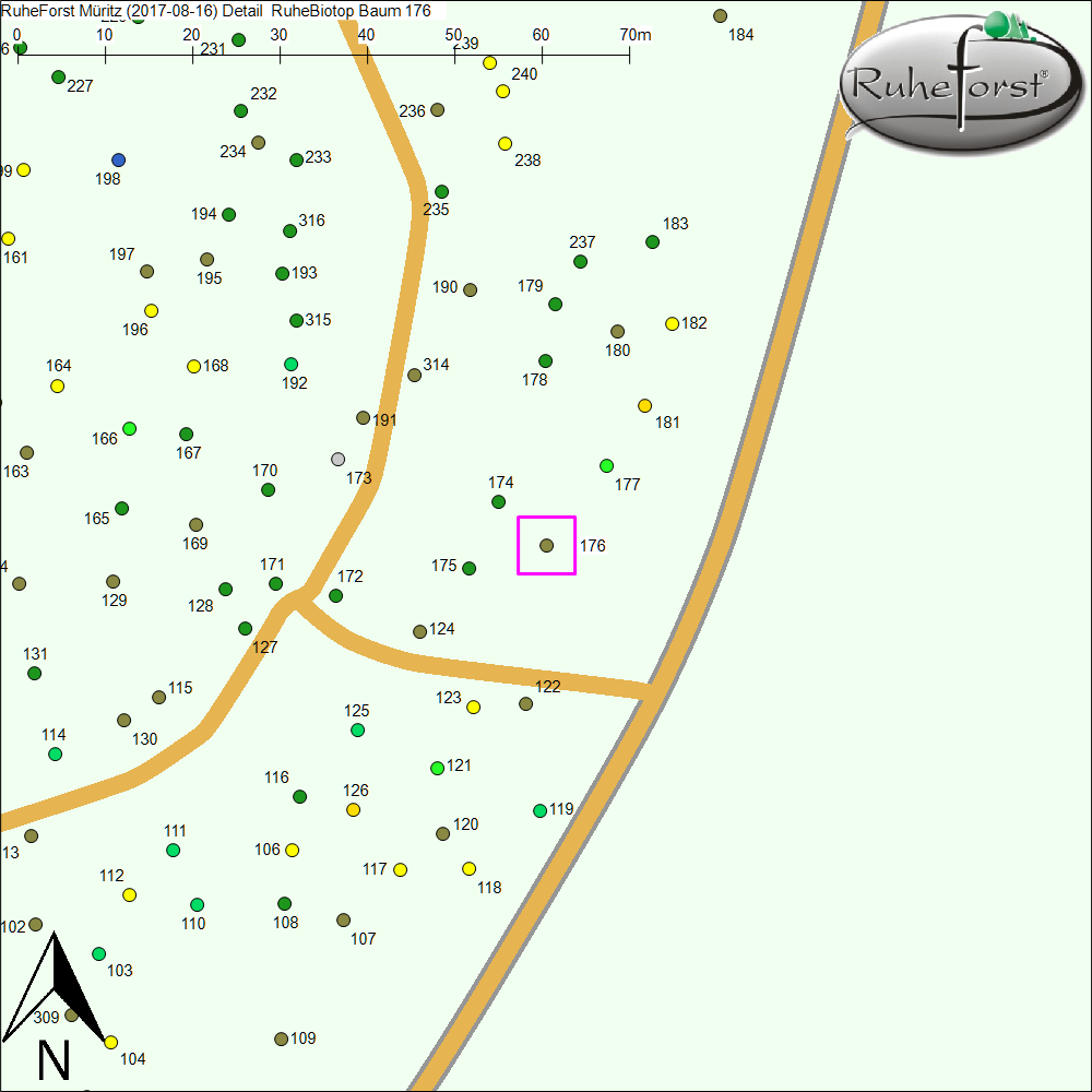 Detailkarte zu Baum 176