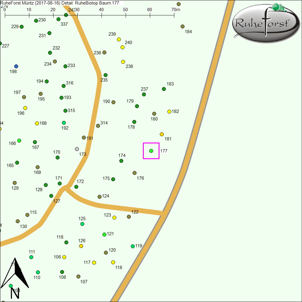Detailkarte zu Baum 177