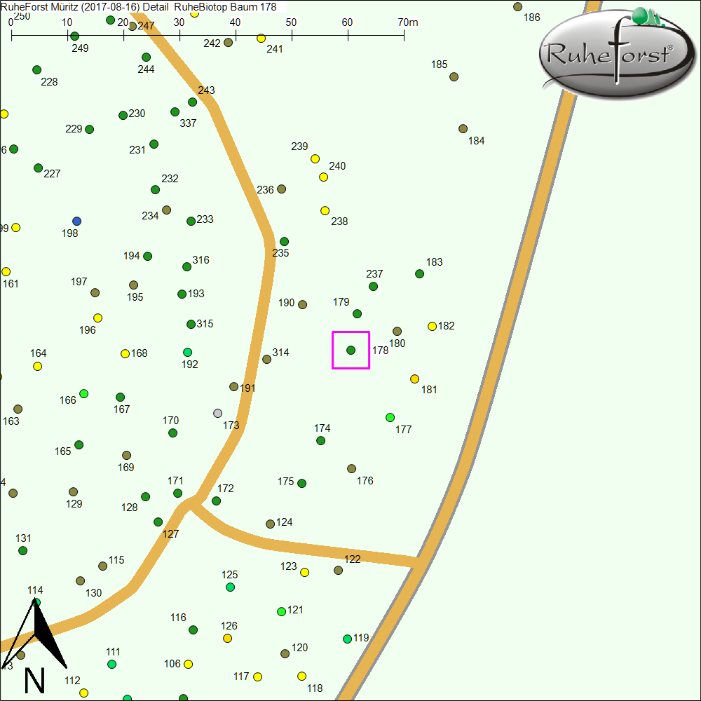 Detailkarte zu Baum 178