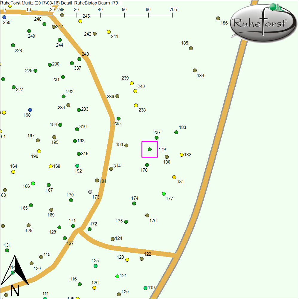 Detailkarte zu Baum 179