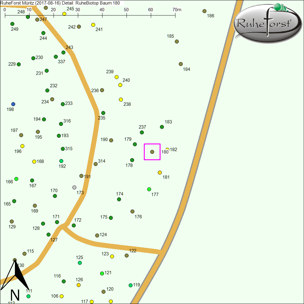 Detailkarte zu Baum 180