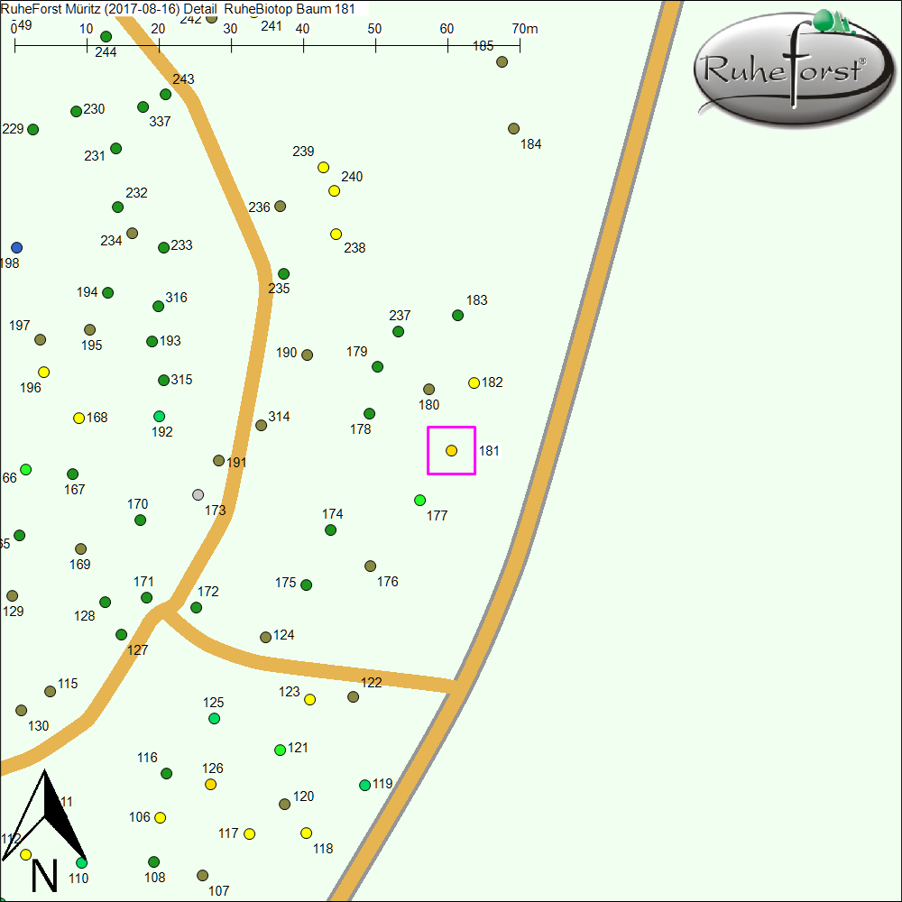 Detailkarte zu Baum 181