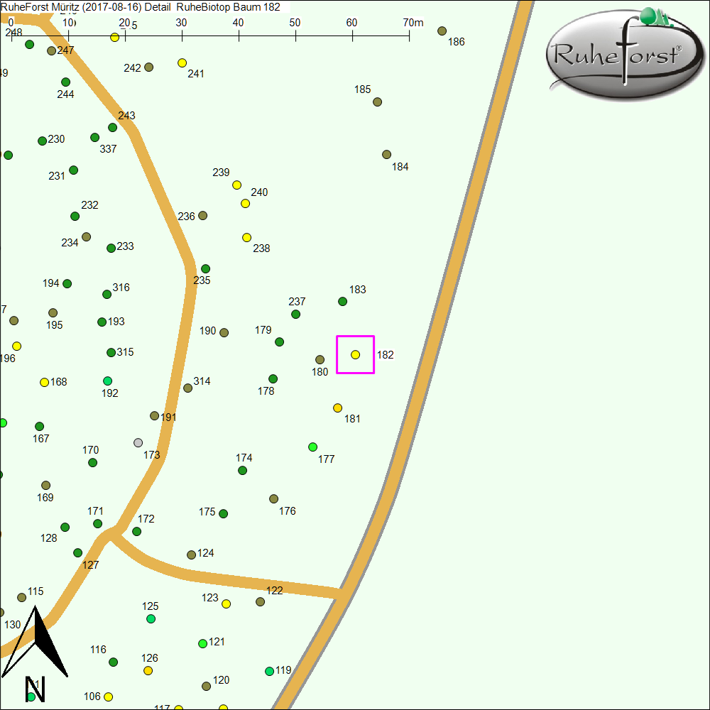 Detailkarte zu Baum 182