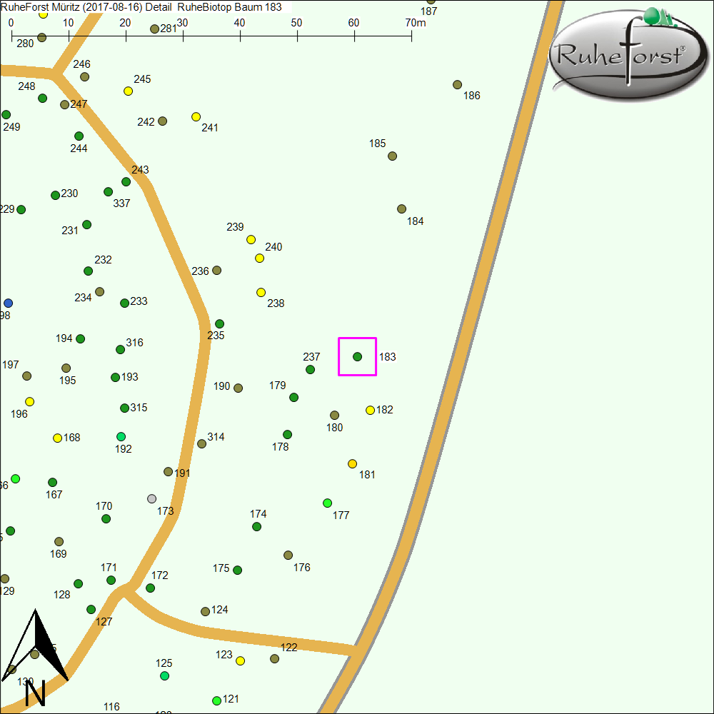 Detailkarte zu Baum 183