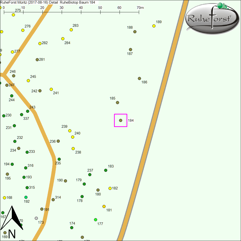 Detailkarte zu Baum 184