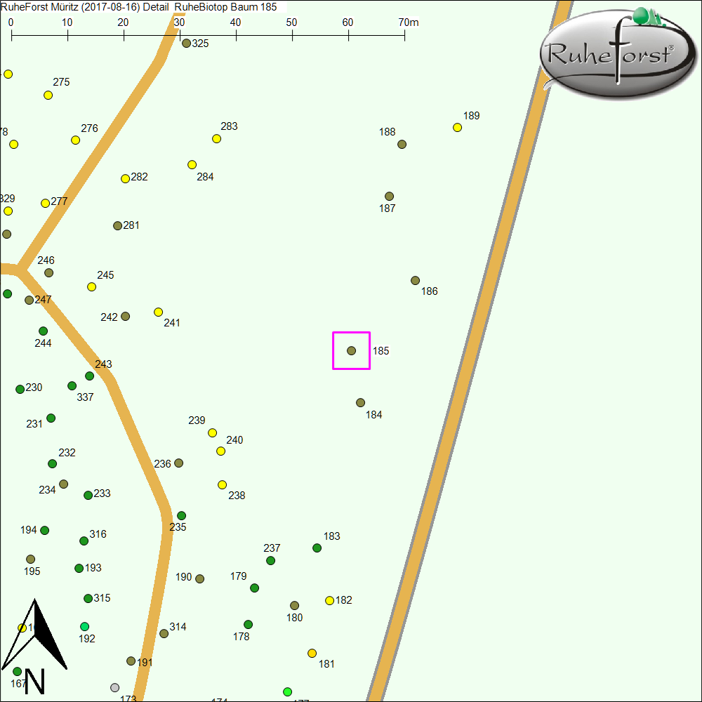 Detailkarte zu Baum 185