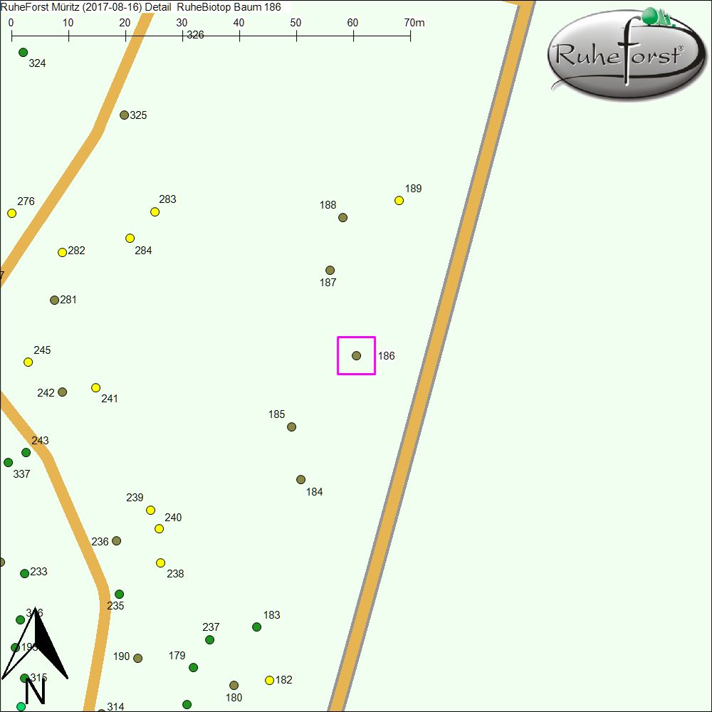 Detailkarte zu Baum 186