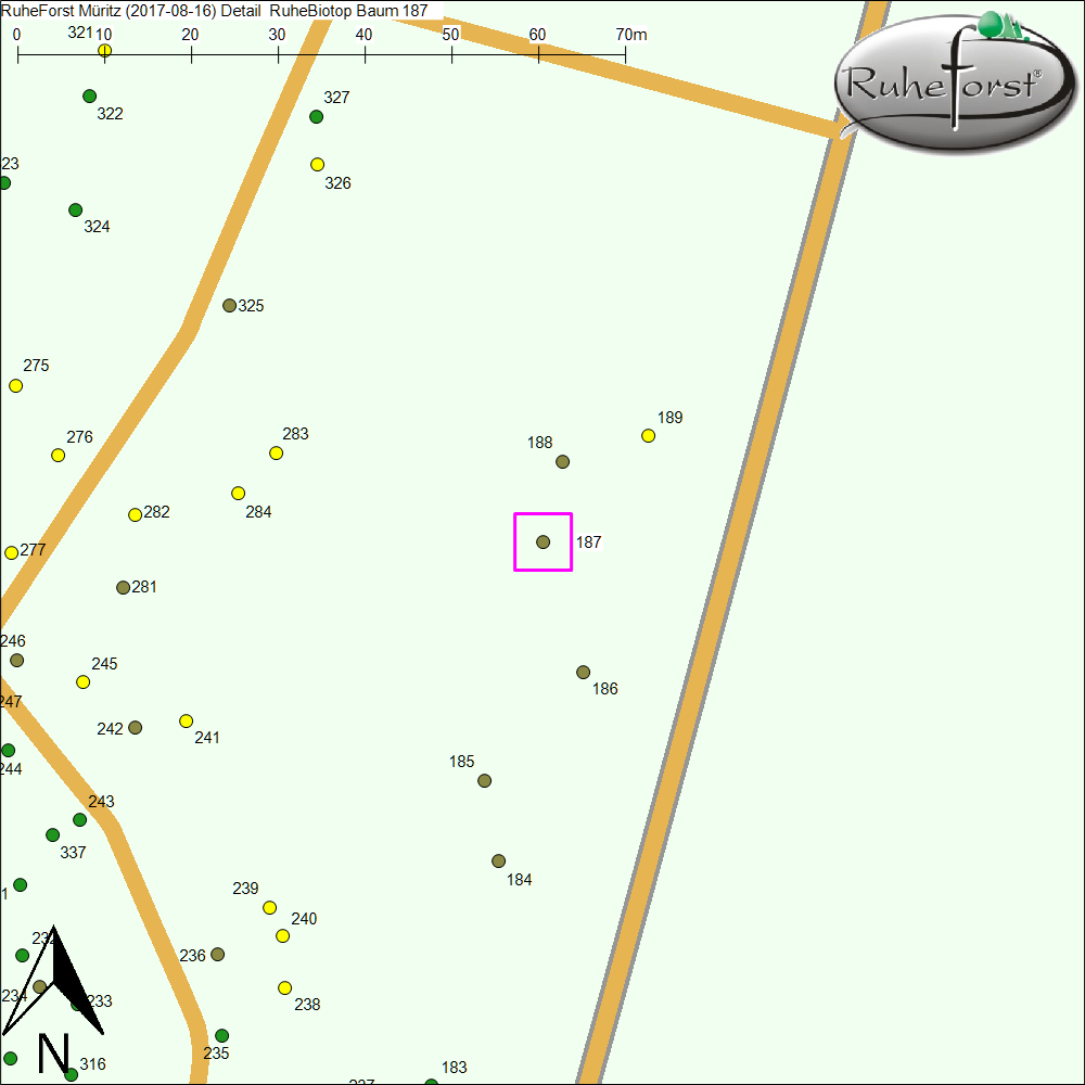 Detailkarte zu Baum 187