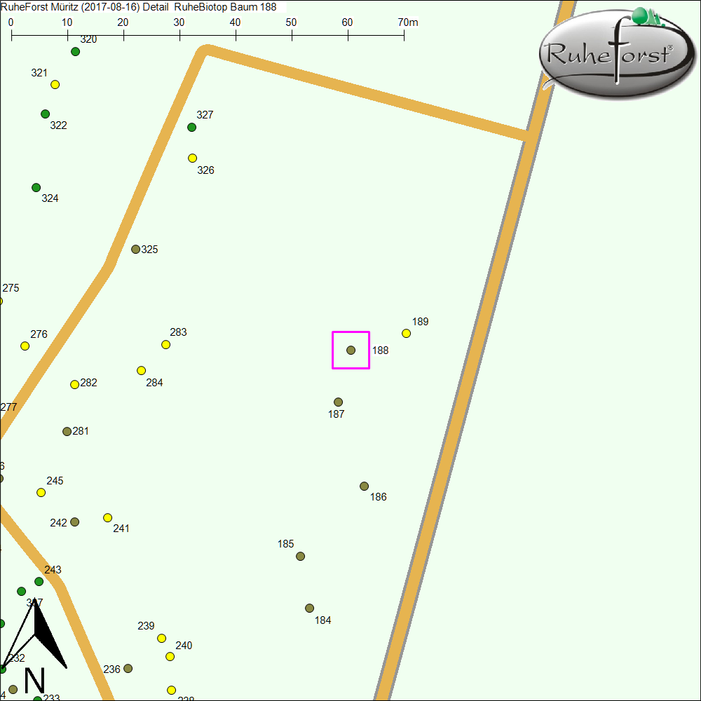 Detailkarte zu Baum 188