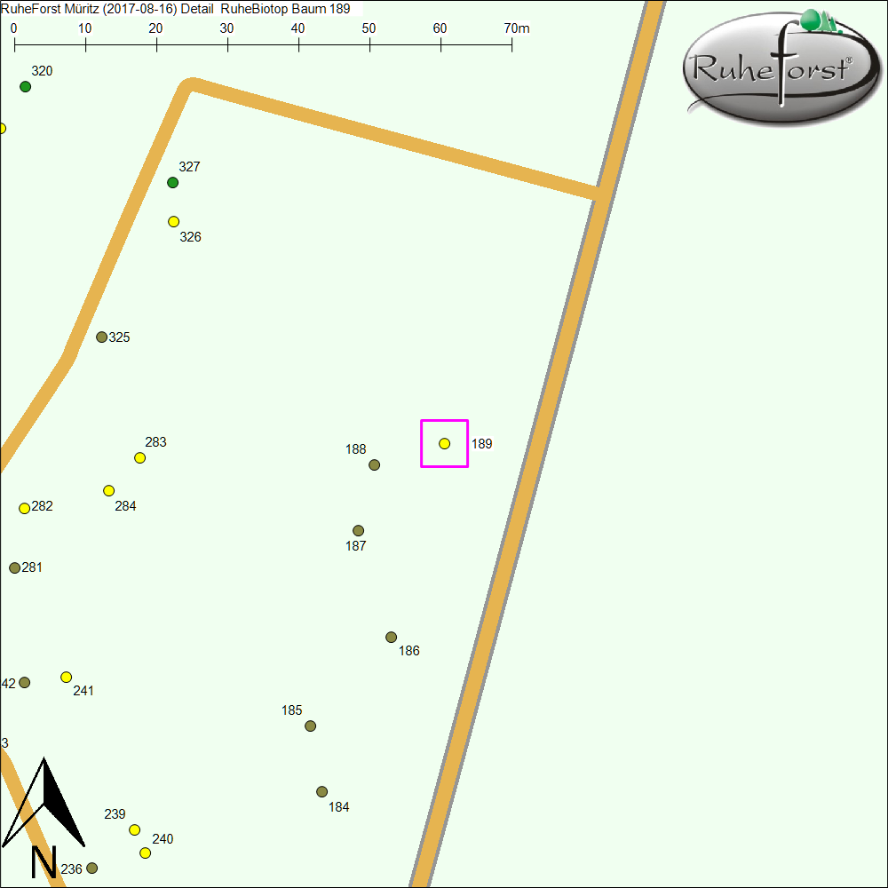 Detailkarte zu Baum 189