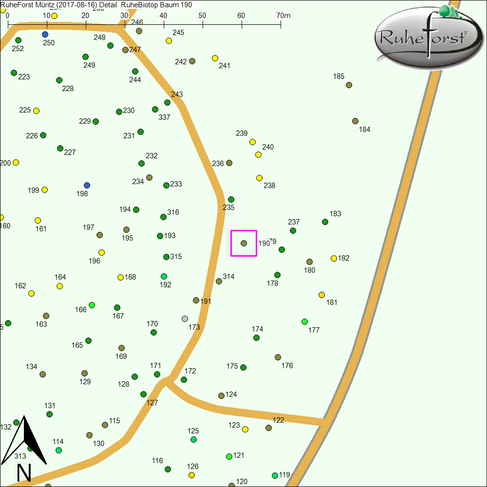 Detailkarte zu Baum 190