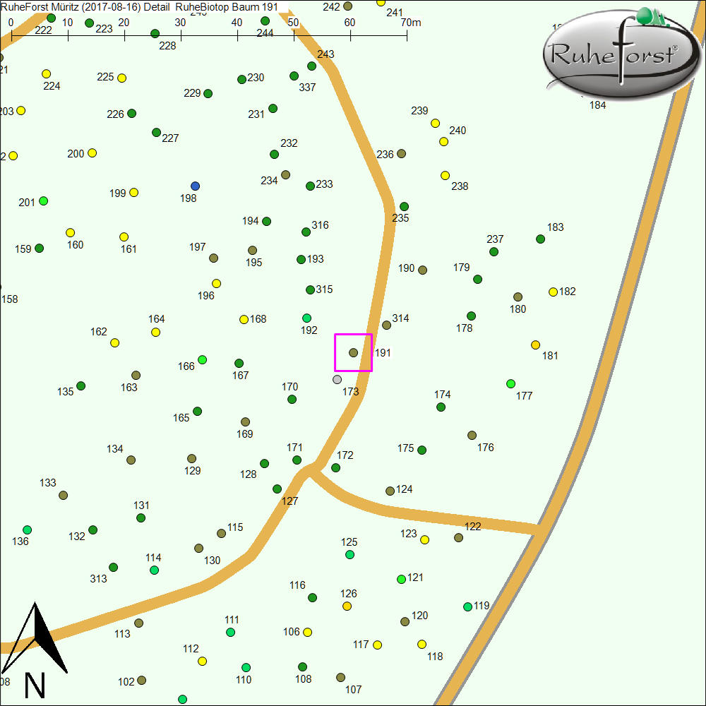 Detailkarte zu Baum 191