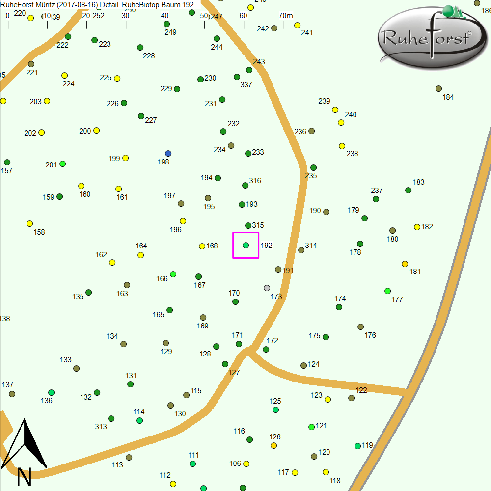 Detailkarte zu Baum 192