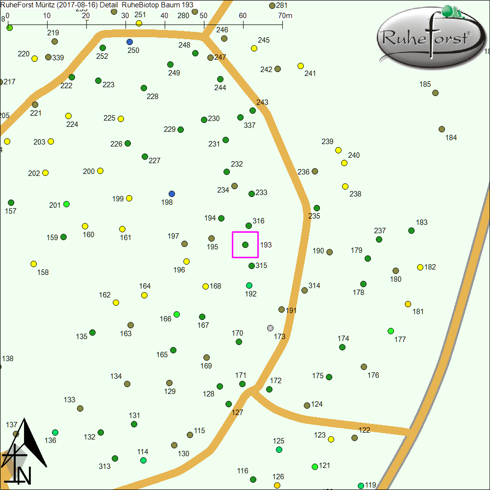 Detailkarte zu Baum 193