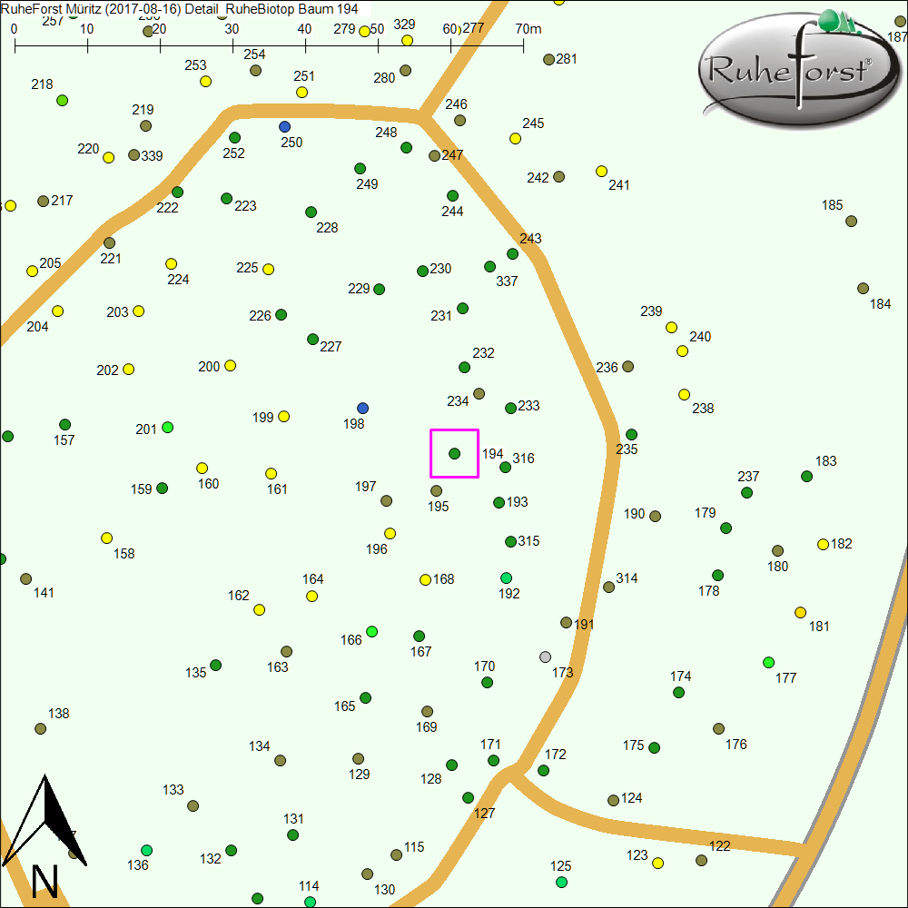 Detailkarte zu Baum 194