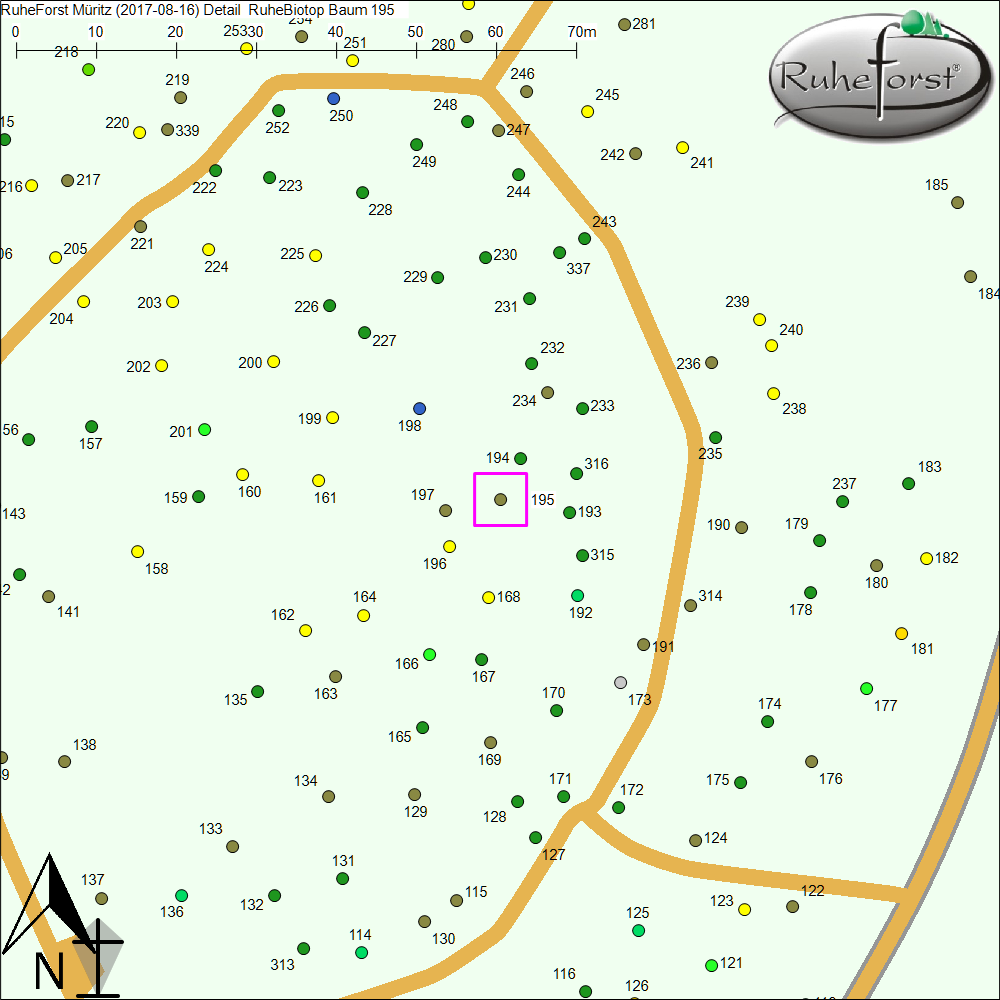 Detailkarte zu Baum 195