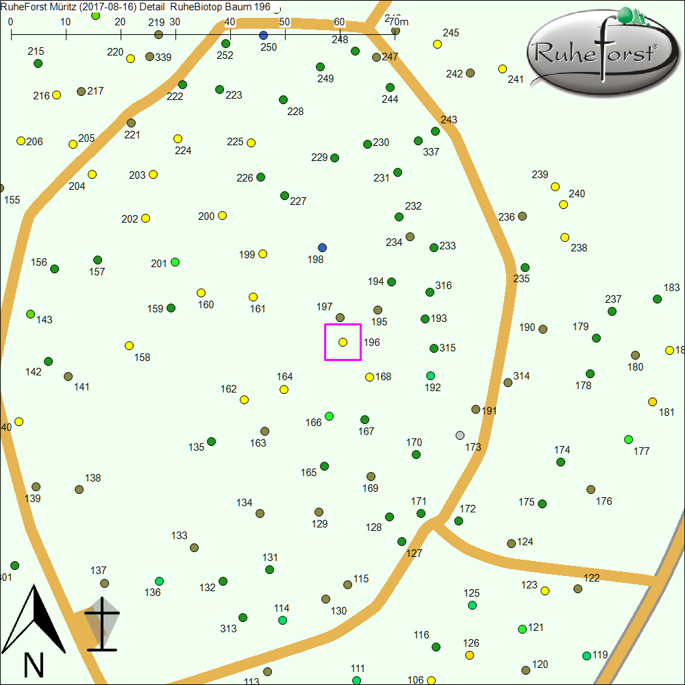 Detailkarte zu Baum 196