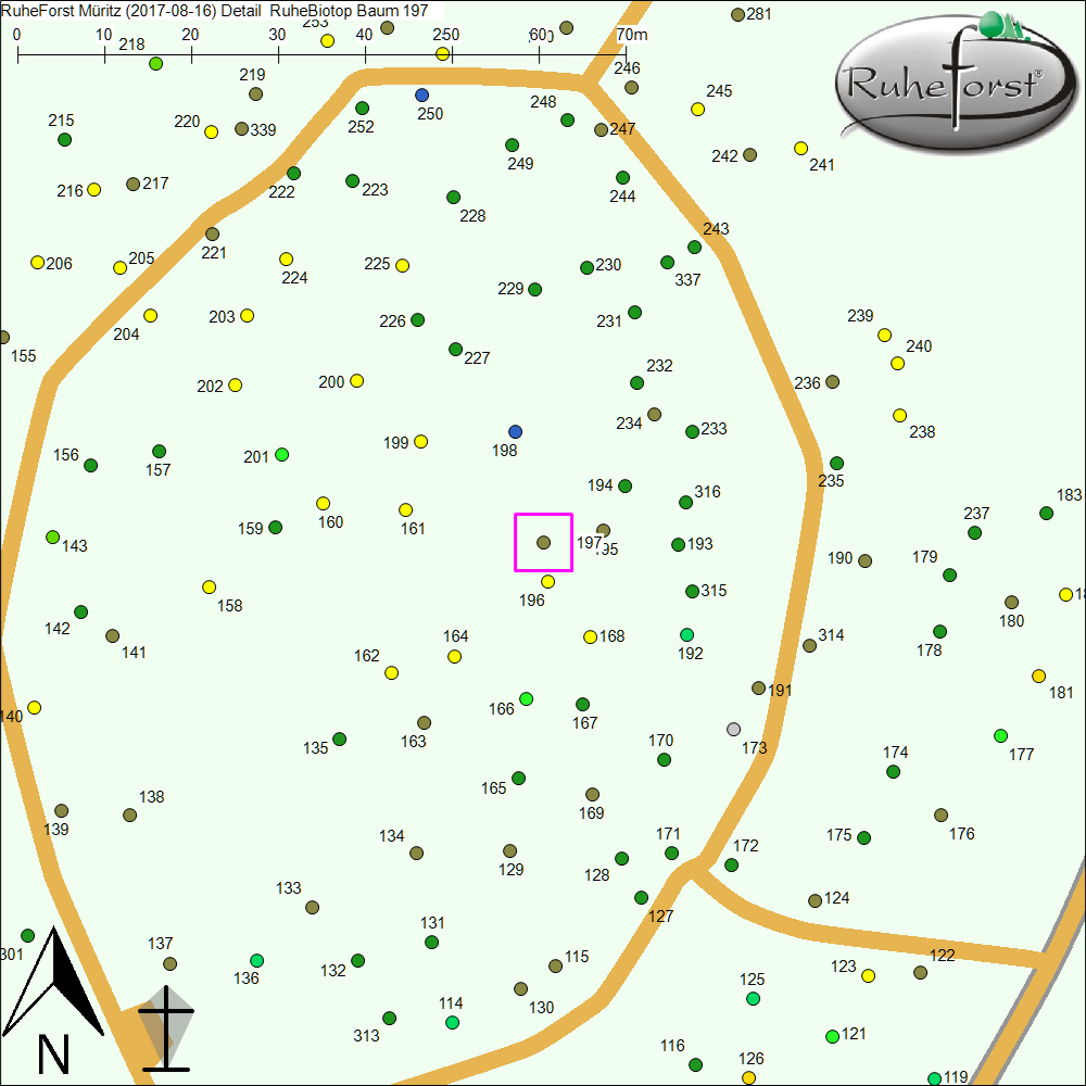 Detailkarte zu Baum 197