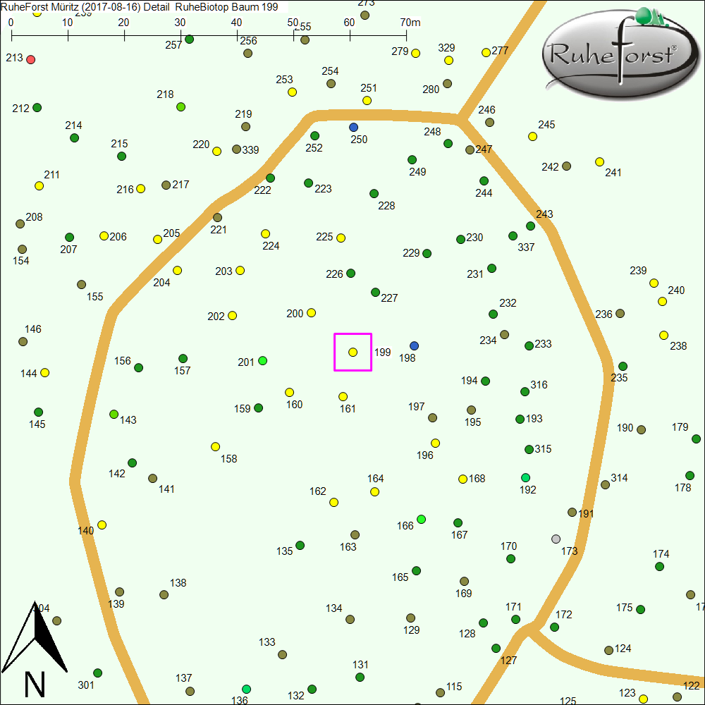 Detailkarte zu Baum 199