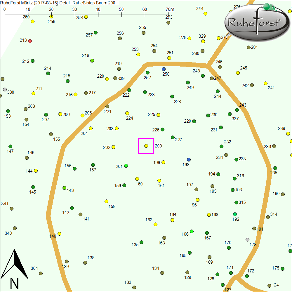 Detailkarte zu Baum 200