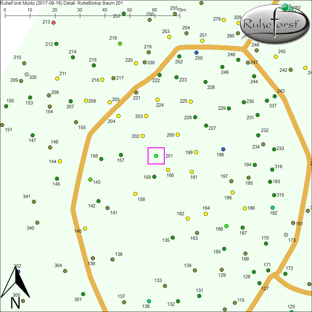 Detailkarte zu Baum 201