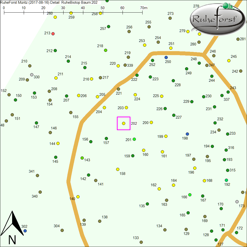 Detailkarte zu Baum 202