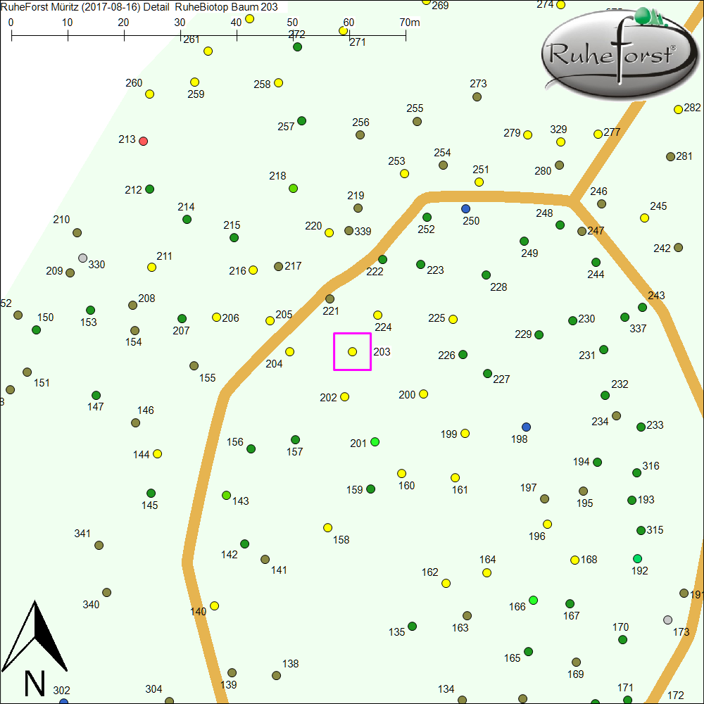 Detailkarte zu Baum 203