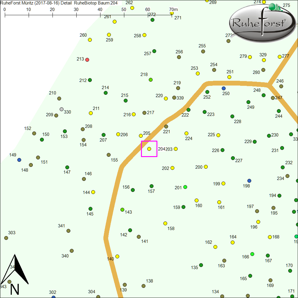 Detailkarte zu Baum 204