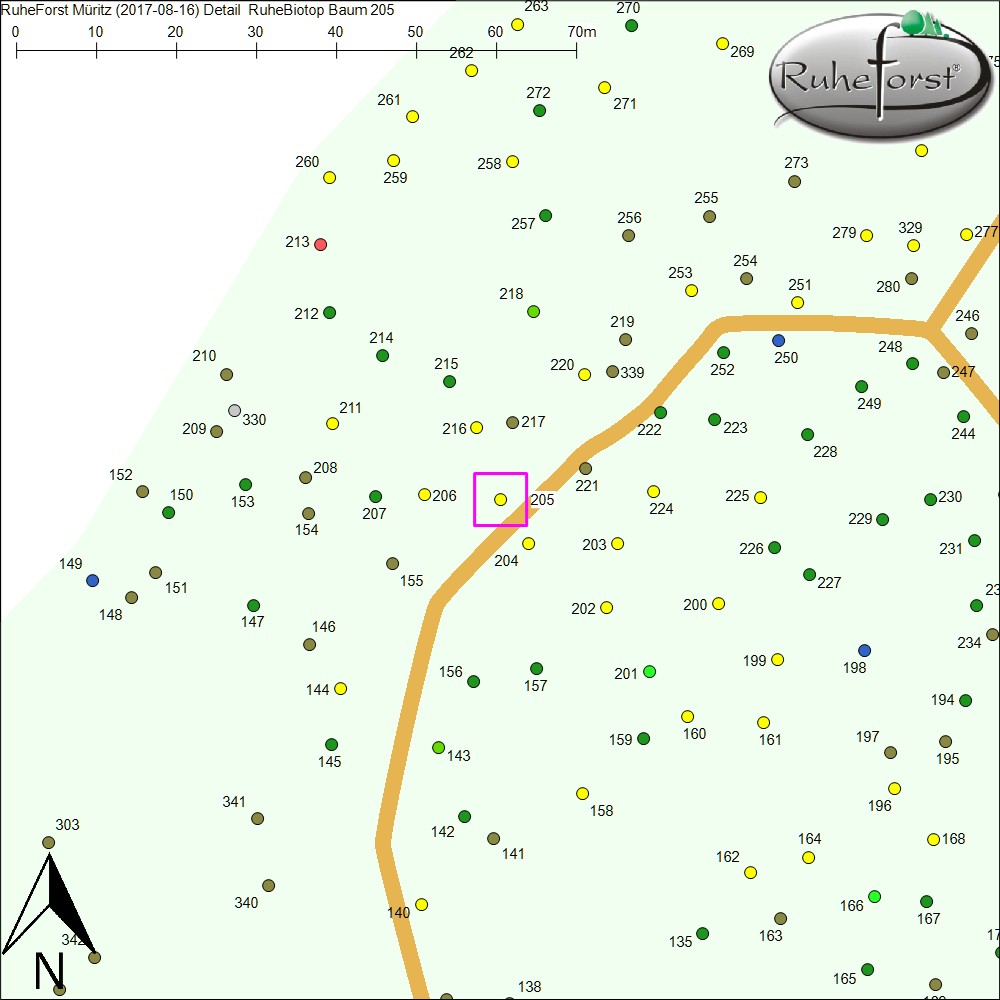 Detailkarte zu Baum 205