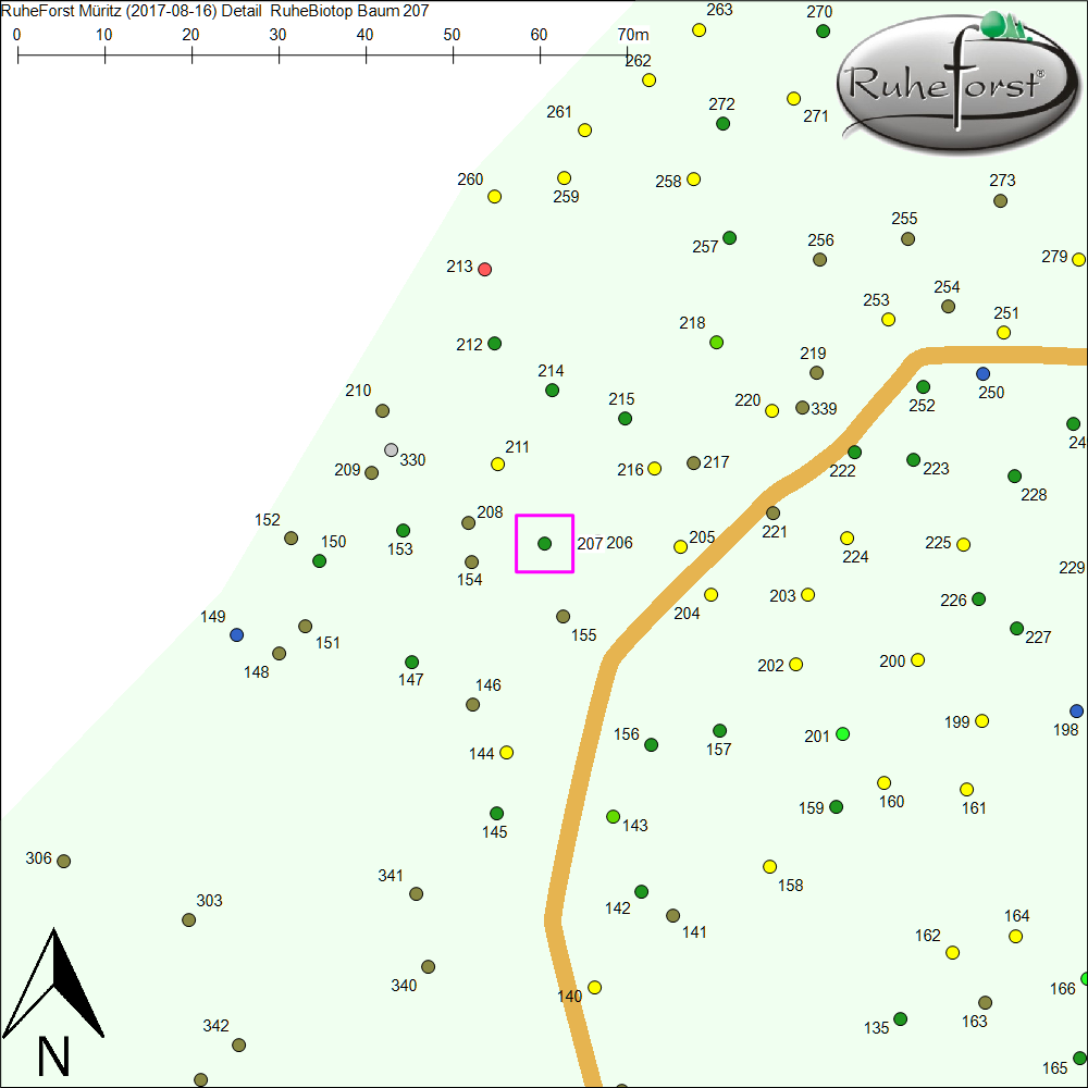 Detailkarte zu Baum 207